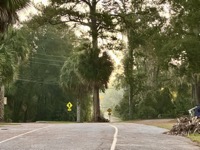 Gainesville summer morning